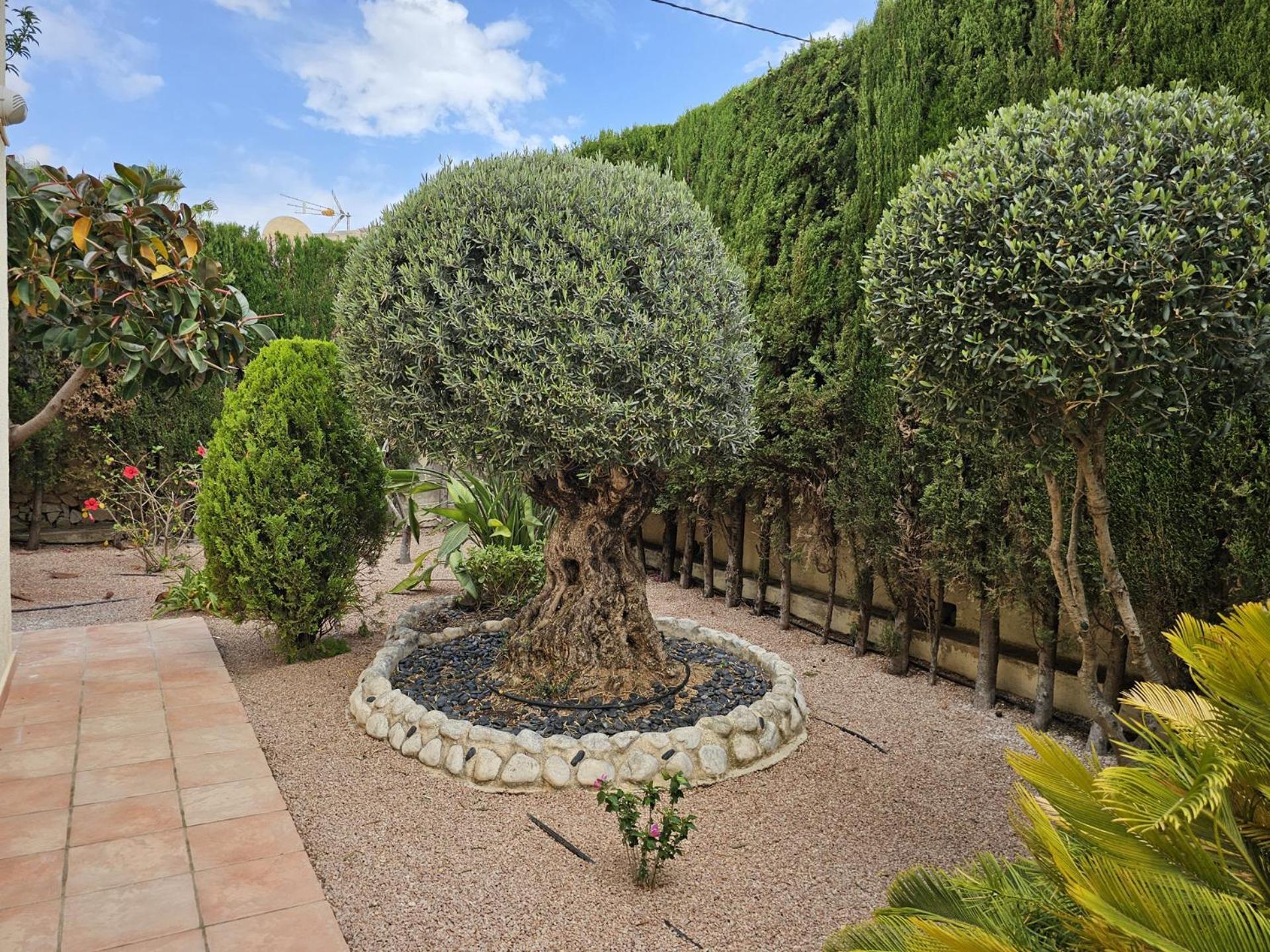 Luxury Villa - Pool, Hot Tub, Aircon, Tvs, Home Cinema, Office, Gbit Internet, Sports Equipment Calpe Exteriér fotografie